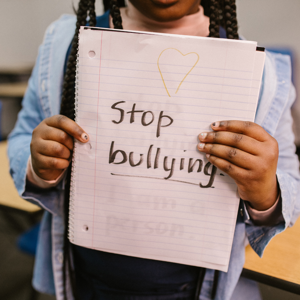 How do you deal with "the bully"?